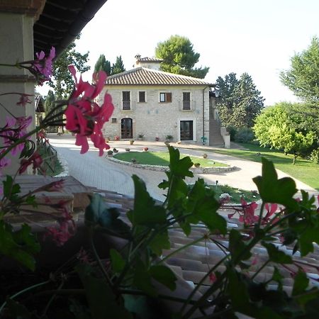 Tenuta Pizzogallo Amelia Zewnętrze zdjęcie