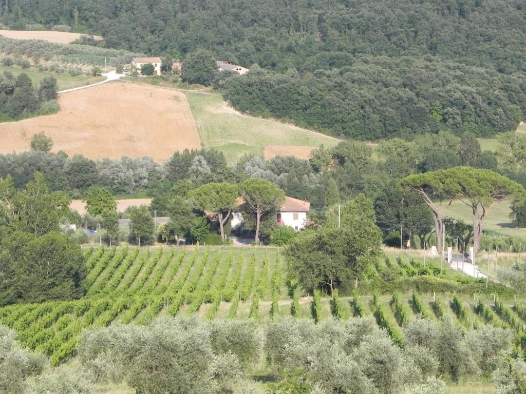 Tenuta Pizzogallo Amelia Pokój zdjęcie