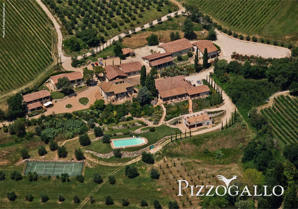 Tenuta Pizzogallo Amelia Zewnętrze zdjęcie