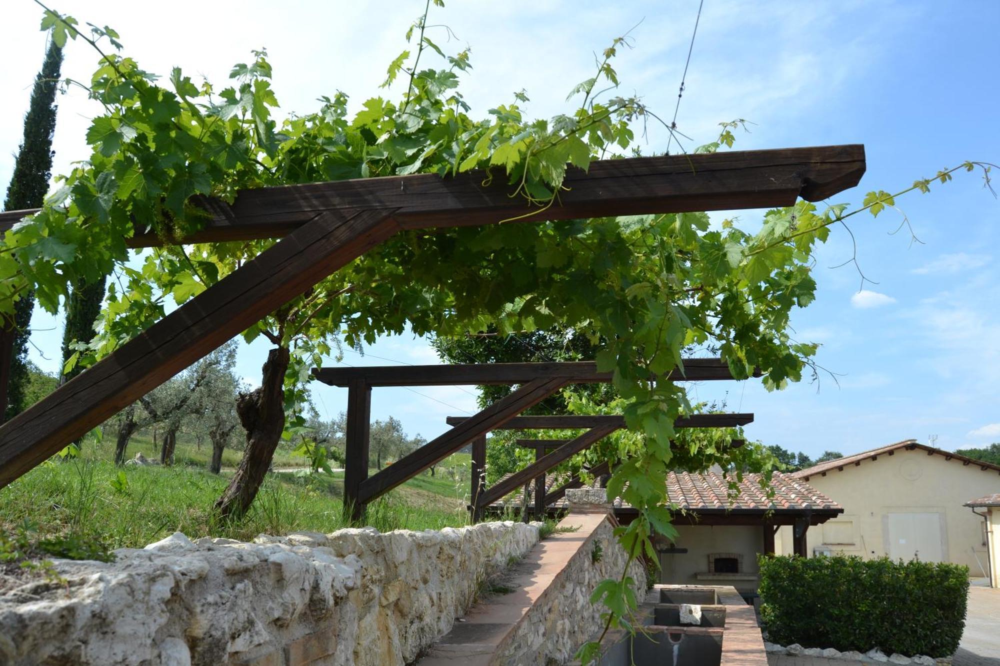 Tenuta Pizzogallo Amelia Zewnętrze zdjęcie
