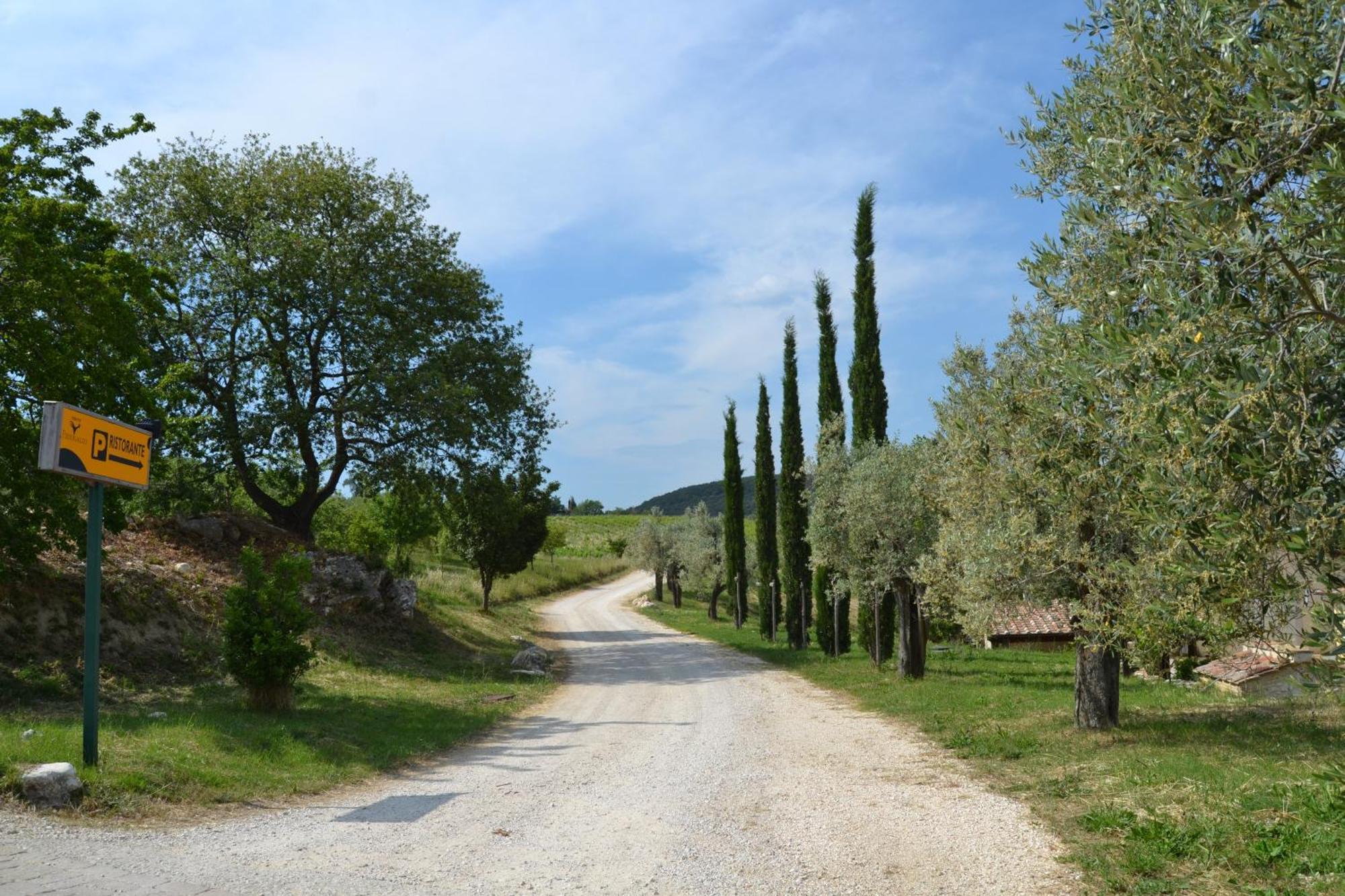 Tenuta Pizzogallo Amelia Zewnętrze zdjęcie