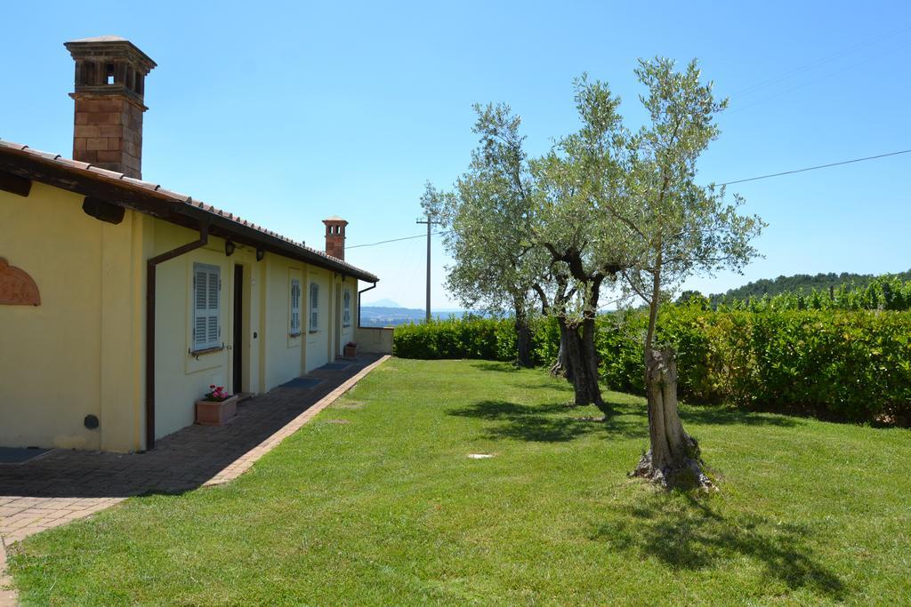Tenuta Pizzogallo Amelia Zewnętrze zdjęcie