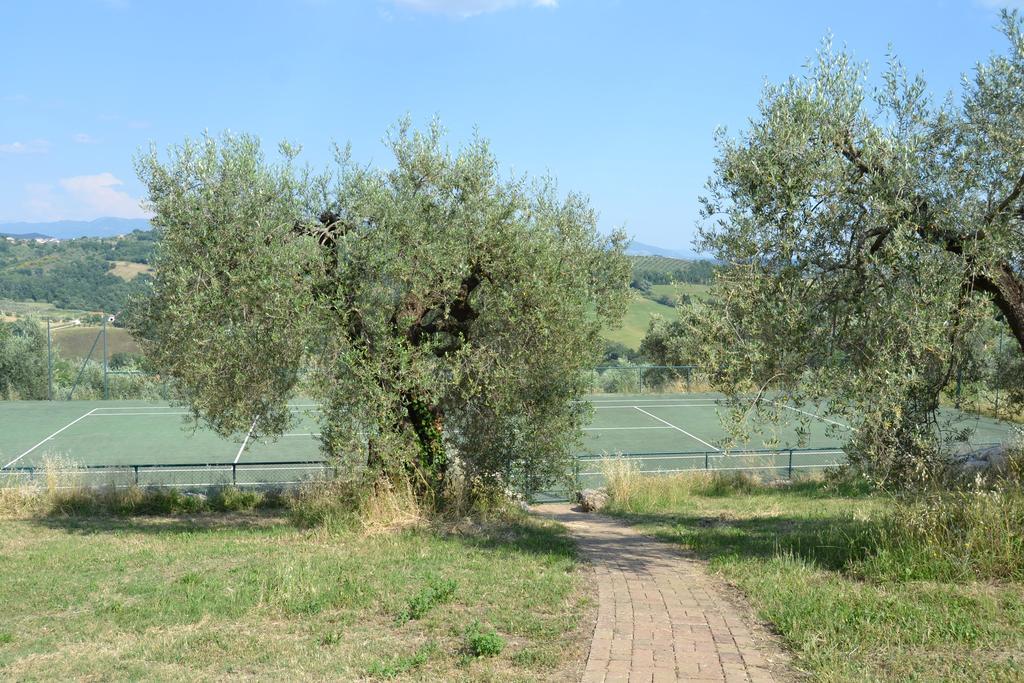 Tenuta Pizzogallo Amelia Zewnętrze zdjęcie