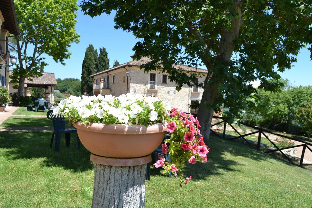 Tenuta Pizzogallo Amelia Zewnętrze zdjęcie
