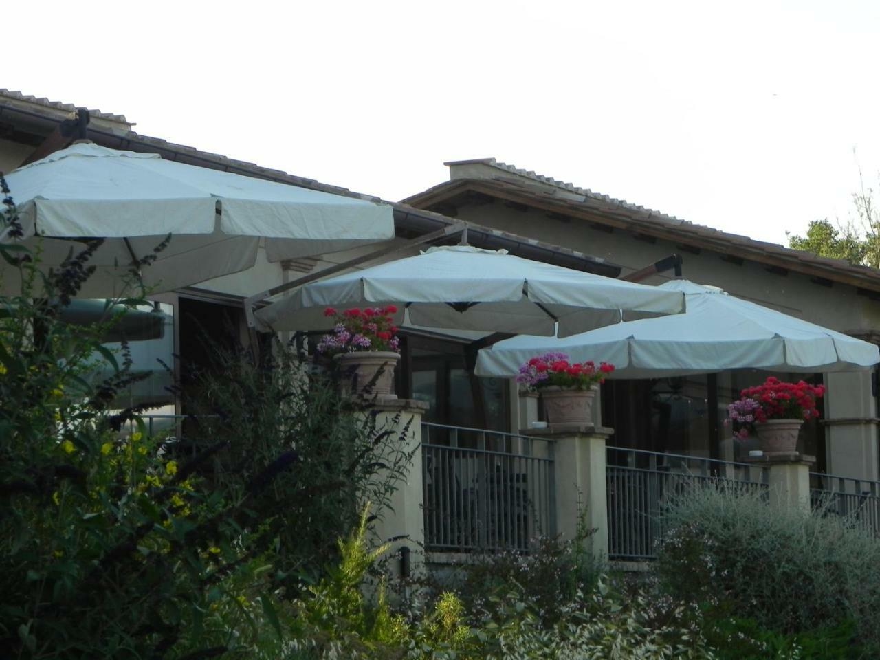 Tenuta Pizzogallo Amelia Zewnętrze zdjęcie